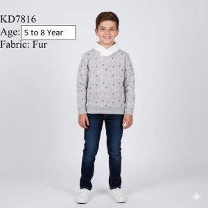 kd7816 2