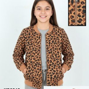 kd8019 1