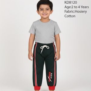 kd8120 1