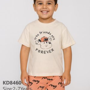 kd8460 1