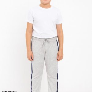 kd8520 1