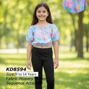 kd8594 1
