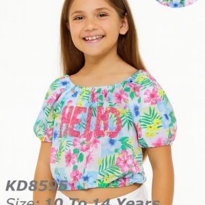 kd8595 1