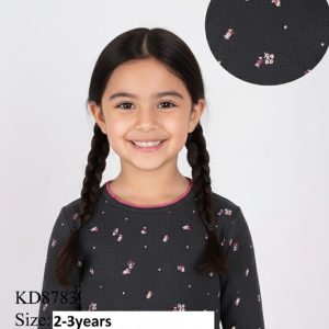 kd8783 1