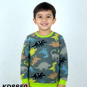 kd8850 1