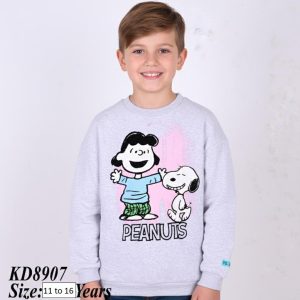 kd8907 2