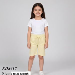 kd8917 1