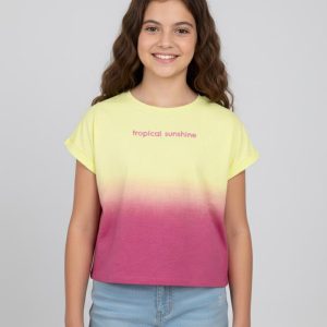 kd8995 1