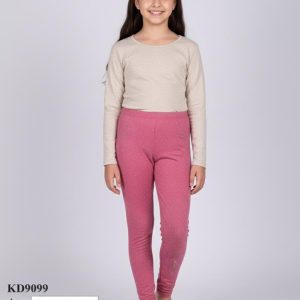 kd9099 2