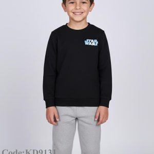 kd9131 2