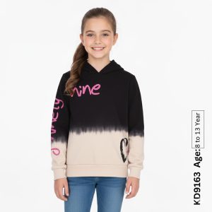 kd9163 1