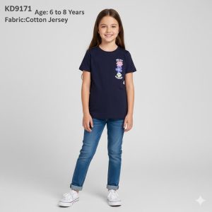 kd9171 1